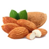 صادرات بادام ایرانی