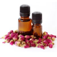 صادرات عرقیات ایرانی